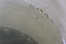 En v&iacute;a a Cristo Rey, Salud P&uacute;blica hace control a criaderos del zancudo transmisor del dengue 