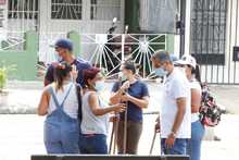 Siembra masiva de plantas ornamentales en el parque recreativo Cien Palos