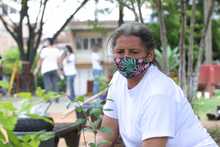 Siembra masiva de plantas ornamentales en el parque recreativo Cien Palos