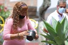 Siembra masiva de plantas ornamentales en el parque recreativo Cien Palos