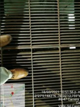 Unos cien kilos de basura fueron extra&iacute;dos de las rejillas del Bulevar del r&iacute;o