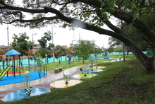 Un esfuerzo concertado por reverdecer el sector de Llano Verde 