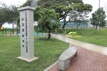 Un esfuerzo concertado por reverdecer el sector de Llano Verde 