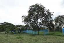 DAGMA ratifica defensa del espacio p&uacute;blico y corredores verdes de la ciudad