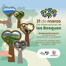 En el d&iacute;a internacional de los bosques, el Dagma invita a pensar en verde