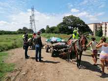 Dagma y Polic&iacute;a ambiental trabajan unidos en la protecci&oacute;n del jarill&oacute;n del r&iacute;o Cauca 