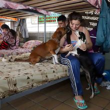 40 familias reciben atenci&oacute;n integral en albergue temporal dispuesto por la Alcald&iacute;a de Cali
