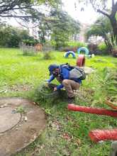 &iquest;Conoces al Aedes aegypti? Aqu&iacute; te contamos c&oacute;mo identificarlo y el peligro que representa