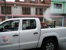 &iquest;Conoces al Aedes aegypti? Aqu&iacute; te contamos c&oacute;mo identificarlo y el peligro que representa