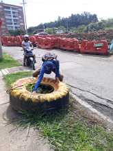 &iquest;Conoces al Aedes aegypti? Aqu&iacute; te contamos c&oacute;mo identificarlo y el peligro que representa