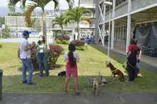 Familias y seres sintientes son atendidos en alojamiento temporal de la Alcald&iacute;a de Cali