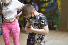 Familias y seres sintientes son atendidos en alojamiento temporal de la Alcald&iacute;a de Cali