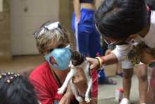 Familias y seres sintientes son atendidos en alojamiento temporal de la Alcald&iacute;a de Cali