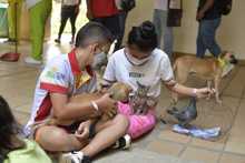 Familias y seres sintientes son atendidos en alojamiento temporal de la Alcald&iacute;a de Cali