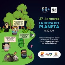 La amada Cali te necesita alerta y a salvo, es hora de actuar