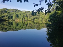 La amada Cali te necesita alerta y a salvo, es hora de actuar