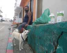 Llevamos vacunaci&oacute;n contra el covid-19 a la comuna 20 de Cali