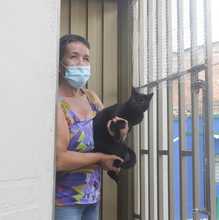 Llevamos vacunaci&oacute;n contra el covid-19 a la comuna 20 de Cali