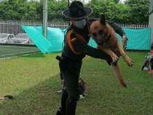 Los cale&ntilde;os, unidos en un mismo esfuerzo