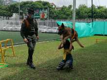 Los cale&ntilde;os, unidos en un mismo esfuerzo