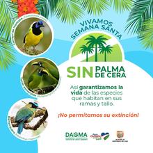 Dagma invita a un &lsquo;Domingo de Ramos&rsquo; sin Palma de Cera