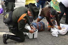  Dagma protege la fauna y flora silvestre en la Semana Mayor