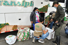  Dagma protege la fauna y flora silvestre en la Semana Mayor