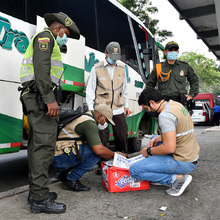  Dagma protege la fauna y flora silvestre en la Semana Mayor