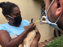 Vacunaci&oacute;n contra la covid&ndash;19 y jornada de salud animal se traslad&oacute; a Silo&eacute; 