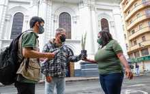 En Domingo de Ramos, Dagma recomend&oacute; plantas ornamentales en vez de palma de cera