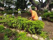 En Brisas de los &Aacute;lamos y Calima, comunidad se apropia de parques y zonas p&uacute;blicas