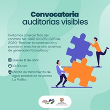 Convocatoria auditor&iacute;as visibles
