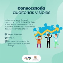 Convocatoria auditor&iacute;as visibles