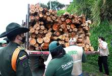 Contin&uacute;an operativos de control y vigilancia ambiental