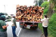 Contin&uacute;an operativos de control y vigilancia ambiental