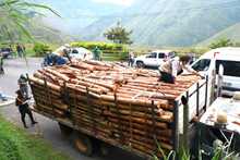 Contin&uacute;an operativos de control y vigilancia ambiental
