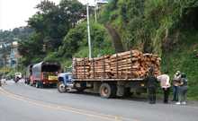 Contin&uacute;an operativos de control y vigilancia ambiental