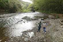 Grupos operativos del Dagma activados para proteger la salud y vida de la cale&ntilde;idad