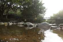 Grupos operativos del Dagma activados para proteger la salud y vida de la cale&ntilde;idad