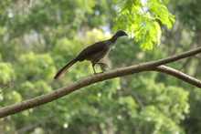 Grupos operativos del Dagma activados para proteger la salud y vida de la cale&ntilde;idad