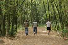 Grupos operativos del Dagma activados para proteger la salud y vida de la cale&ntilde;idad