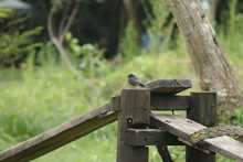 Grupos operativos del Dagma activados para proteger la salud y vida de la cale&ntilde;idad