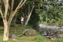 Grupos operativos del Dagma activados para proteger la salud y vida de la cale&ntilde;idad