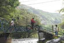 Grupos operativos del Dagma activados para proteger la salud y vida de la cale&ntilde;idad