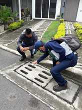 En 2021 se han presentado 2164 casos de dengue en Cali