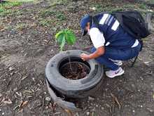 En 2021 se han presentado 2164 casos de dengue en Cali