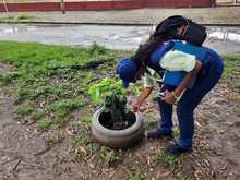 En 2021 se han presentado 2164 casos de dengue en Cali
