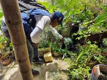 En 2021 se han presentado 2164 casos de dengue en Cali