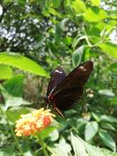 Vivero Distrital, custodios y guardianes de semillas en Cali