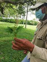 Vivero Distrital, custodios y guardianes de semillas en Cali